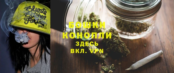 PSILOCYBIN Богородицк